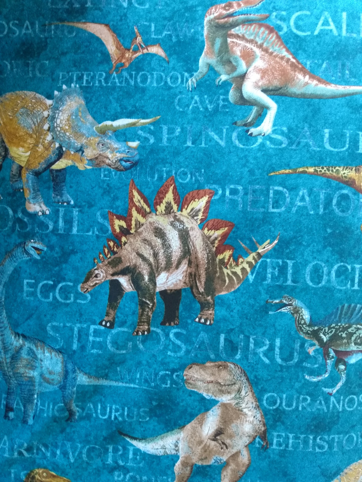 100% Cotton Pillowcase Stegosaurus T-Rex